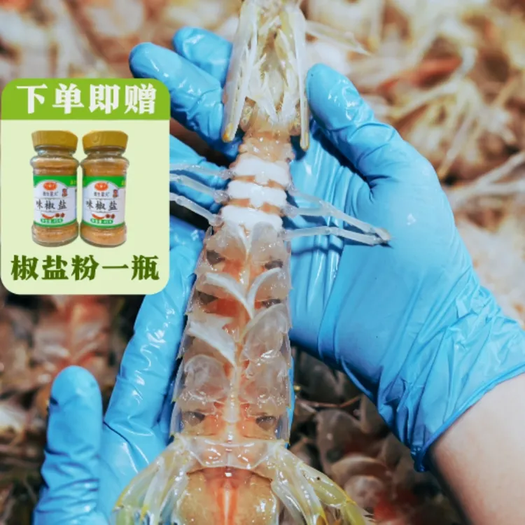 【顺丰直发】北海皮皮虾鲜活濑尿虾熟蒸发货特大虾爬子