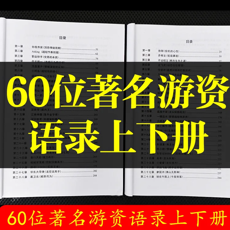 2025正版游资悟道心法实战语录上下操盘交易体系一线游资悟道交易
