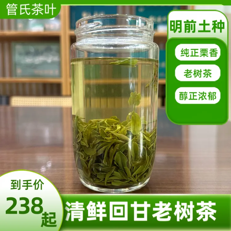 【明前老品种】2025新茶孝感茶管氏观音湖香浓耐泡回甘老树茶250g