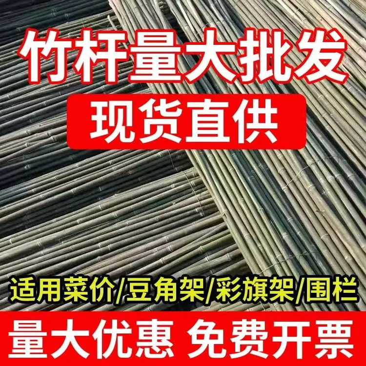 菜园爬藤架子粗细种菜小竹竿蔬菜黄瓜豆角西红柿搭架杆篱笆栅栏彩