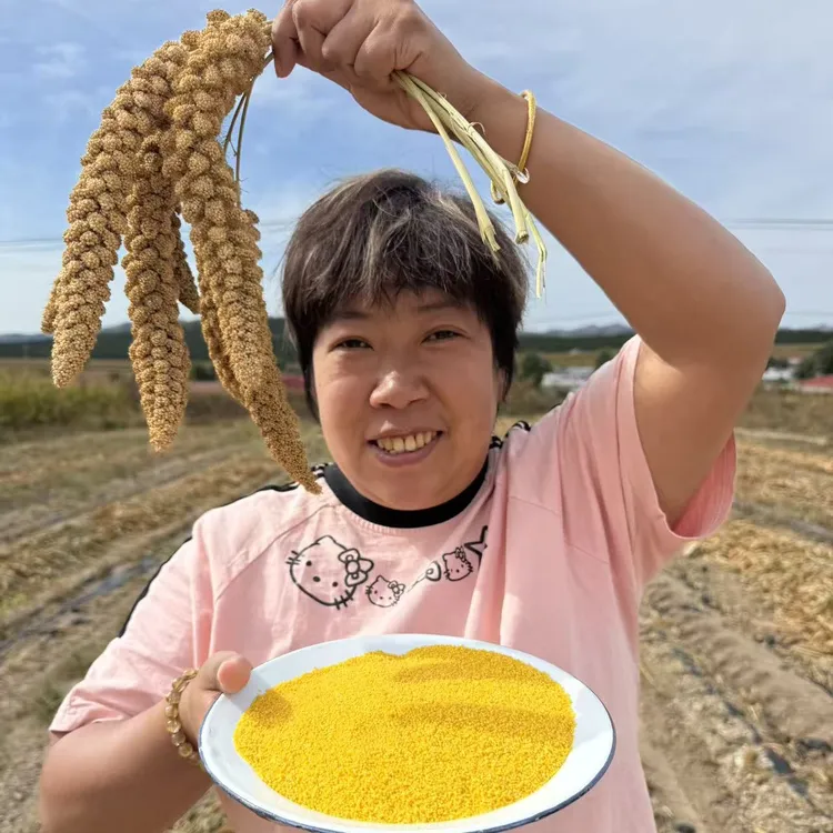 内蒙古敖汉新小米5斤（小米天花板）