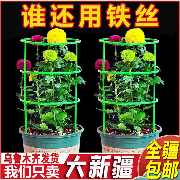 新疆包邮花架子支撑杆室内家用植物防倒伏架花卉爬藤架绿萝蟹爪兰