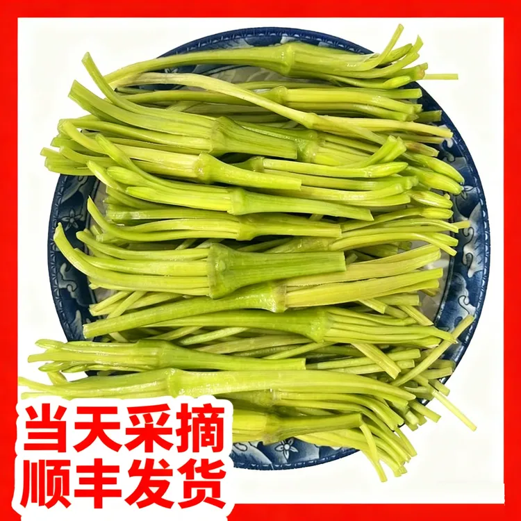 ［顺丰包邮］云南大理洱海水性杨花海菜花新鲜现摘现发特色食用蔬菜