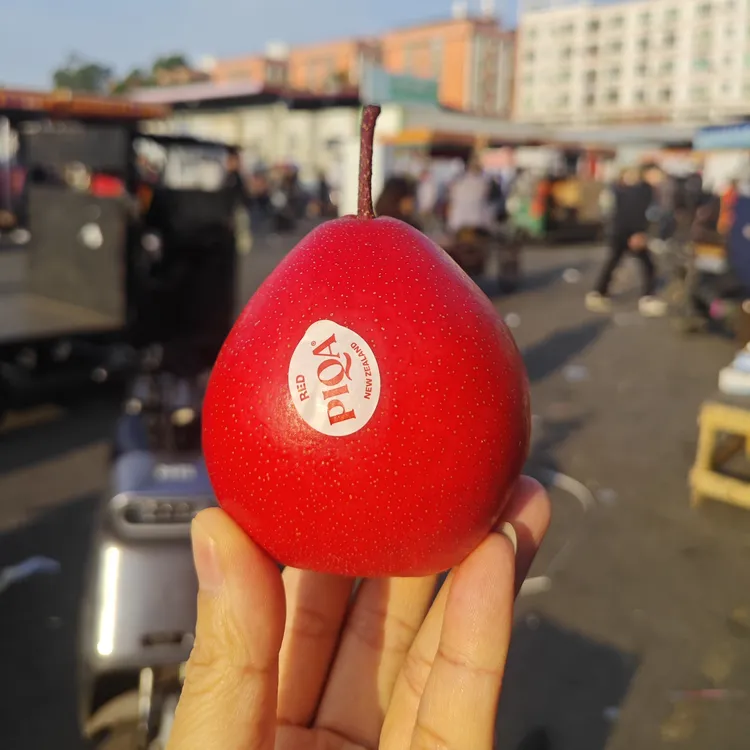 蜜梨脆新鲜水果新西兰piqaboo红啤梨4-6个红宝石梨蜜梨顺丰包邮