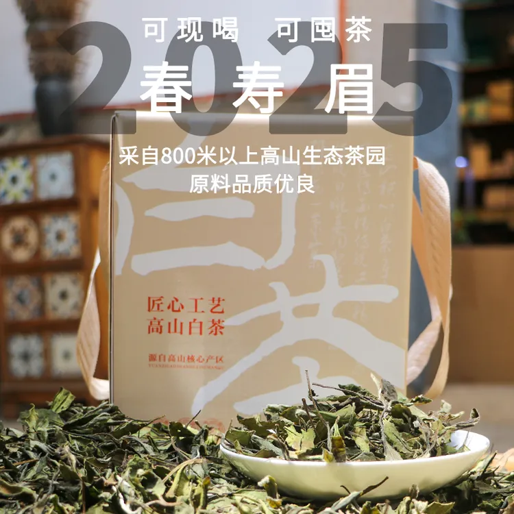 2025年柘荣高山白茶春寿眉 花果香 兰花韵 