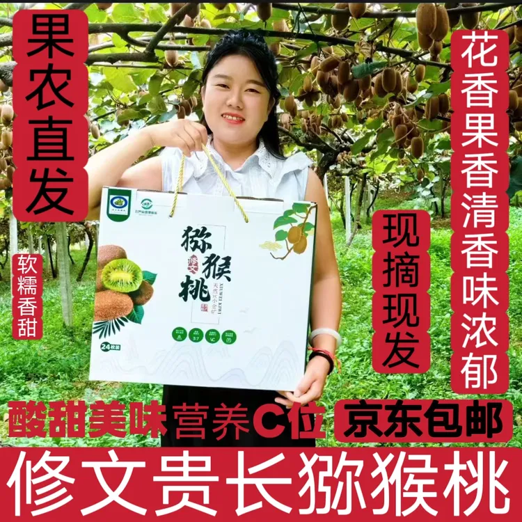 贵州修文绿心猕猴桃新鲜采摘香甜多汁当季水果【精品礼盒24枚装】