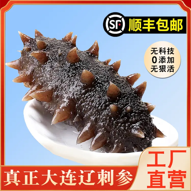 大连辽参Q弹嚼劲刺参鲜活加工海参鲜食海参500g鲜蒸海参14-16头