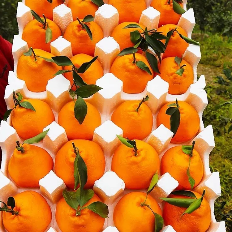 四川春见耙耙柑产地直发新鲜多汁当季手剥水果非爱媛果冻橙香甜