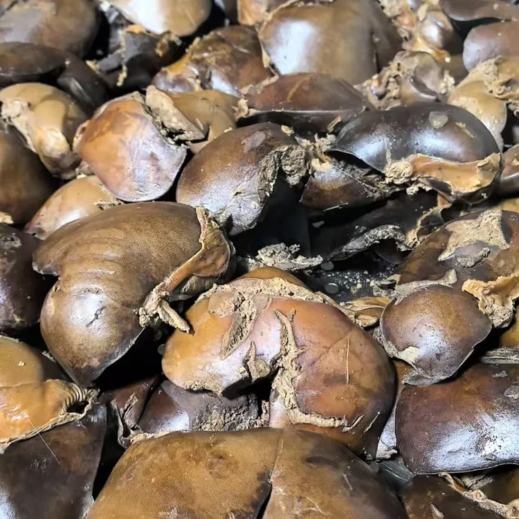 清真羊肝全国包邮