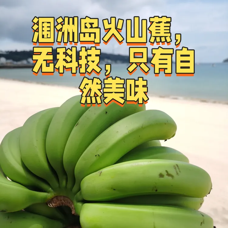 【涠洲岛绿皮蕉，顺丰包邮】北海香甜特产 带箱十斤（生发货）