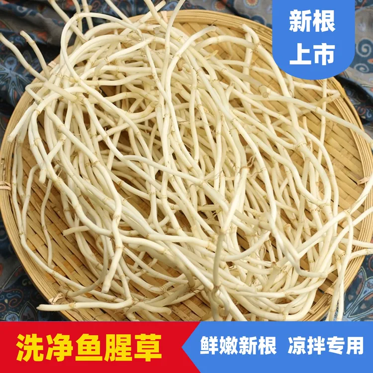 【新根上市】洗净 新鲜鱼腥草新鲜折耳根特色蔬菜农家新鲜蔬菜新鲜