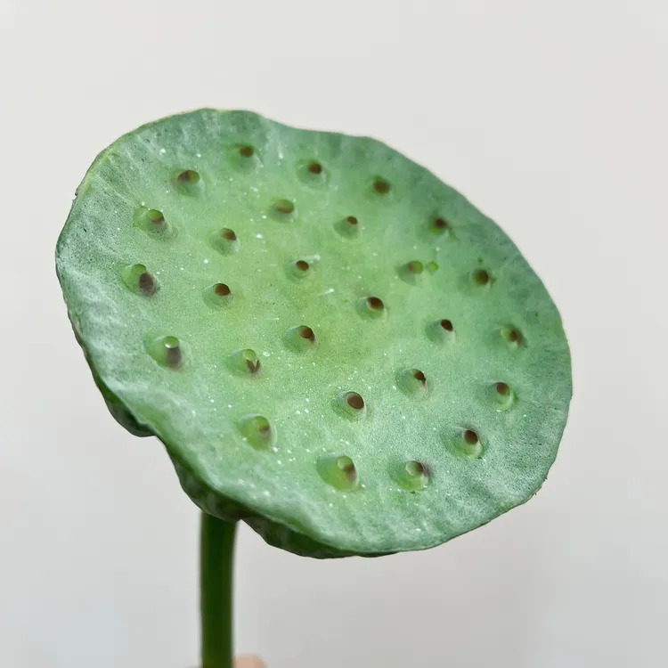 仿真花莲蓬荷花高级感仿真花莲花客厅装饰摆件新中式国风宋代美学