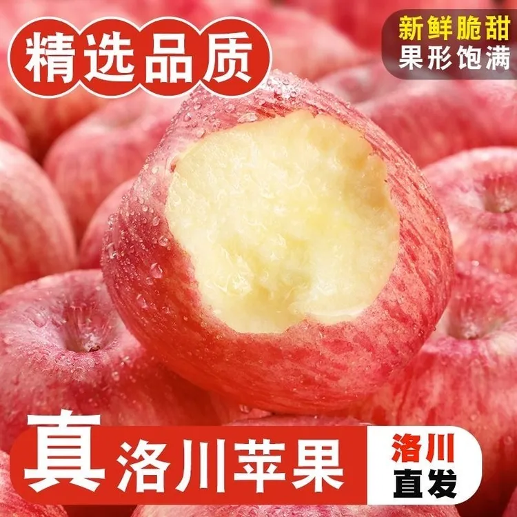 正宗陕西洛川红富士苹果产地直发皮薄脆甜多汁水新鲜现摘孕妇水果