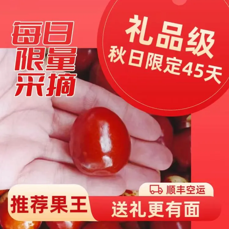 【省内5斤装】北票上园正宗金丝大枣朝阳大枣