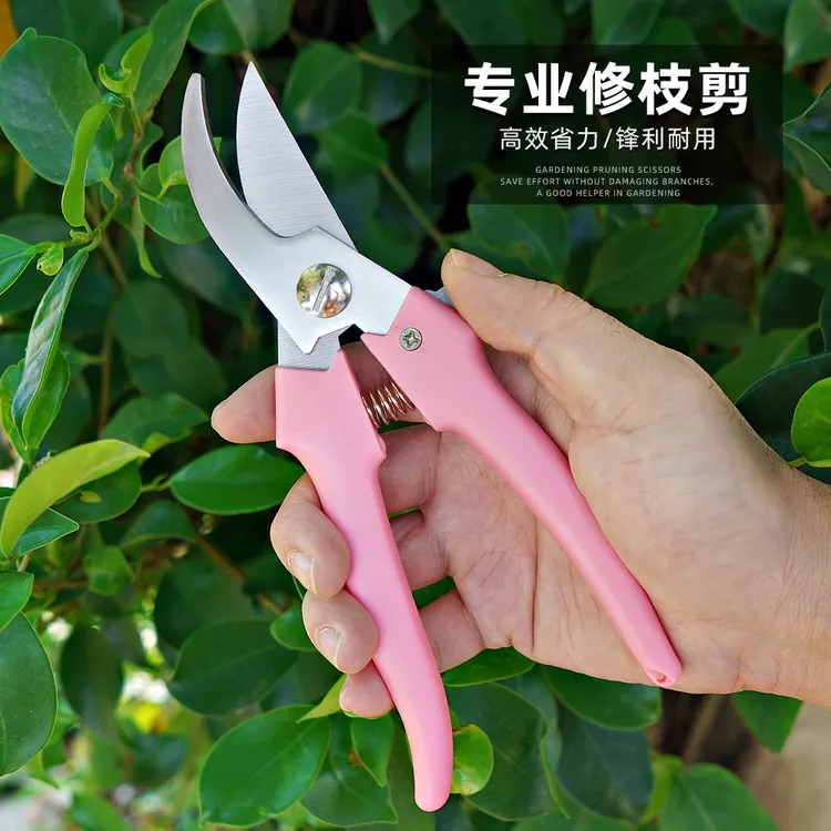 稀果剪葡萄疏花剪修花修枝剪柑橘子花椒葡萄专用采摘水果剪刀