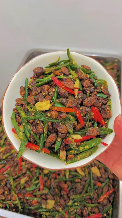 辣椒炒蚕蛹超级下饭