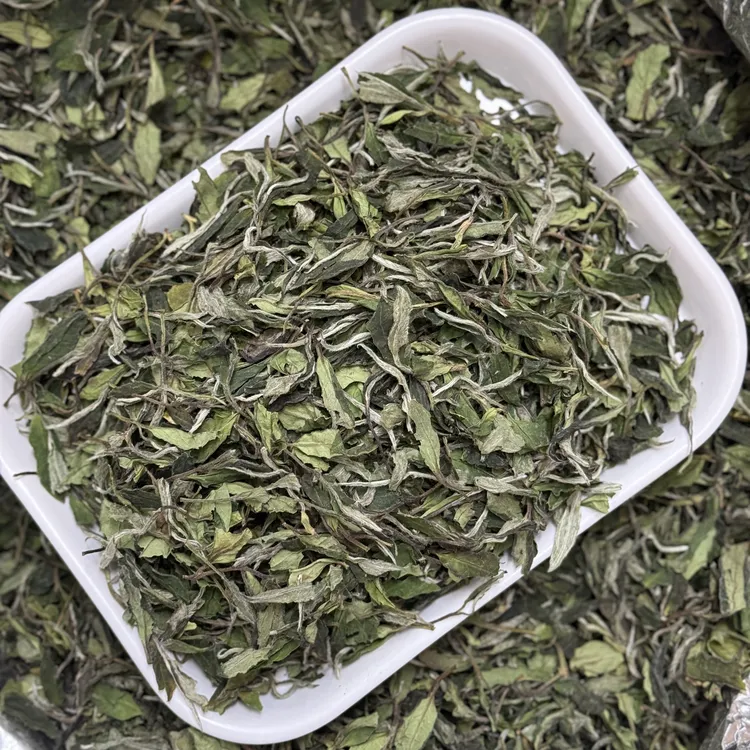 2025年花香白牡丹【日晒牡丹】高山老树牡丹 春茶白牡丹福鼎白茶