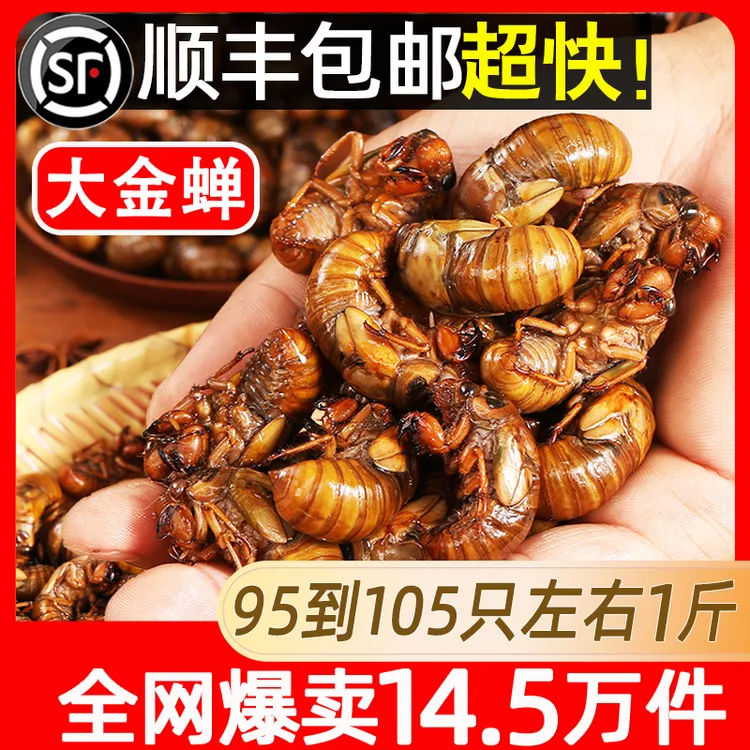 2025新鲜大知了猴金蝉活体爬叉猴速冻白蚕蛹营养美味高蛋白唐僧肉