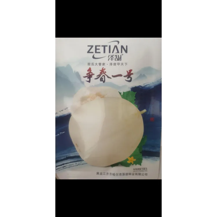 泽甜薄皮甜瓜种子杂交早熟梨形香瓜抗病超甜水果春夏播种