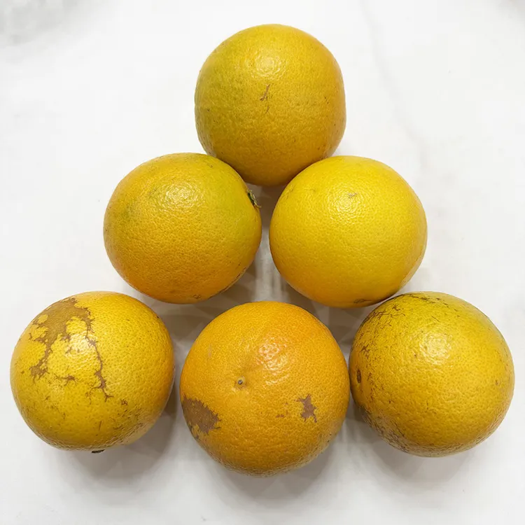 [花皮果]云南橙子哀牢山冰糖橙新鲜应季水果青皮清甜多汁