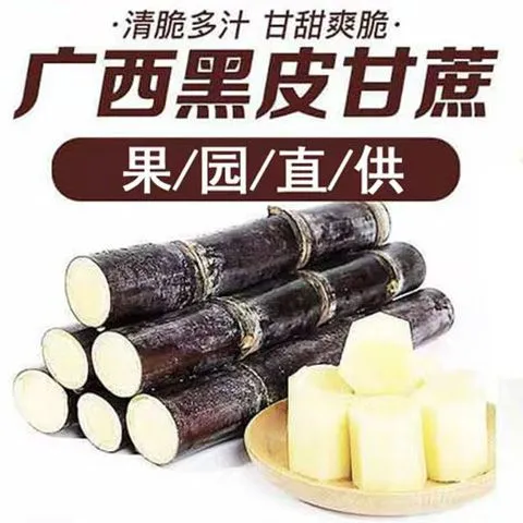 广西正宗黑皮甘蔗应季水果清甜多汁十万大山上思产地现砍现发