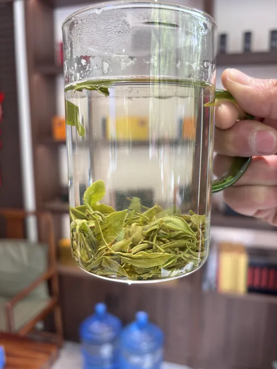 【240紫阳毛尖】2025紫阳富硒茶陕西特产绿茶罐装（新老包装随机）