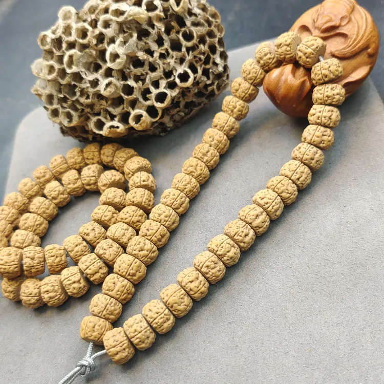 （旭哥严选）爆肉超头巨无霸姜黄皮潜龙皮皮虾小金刚，肉到没朋友，