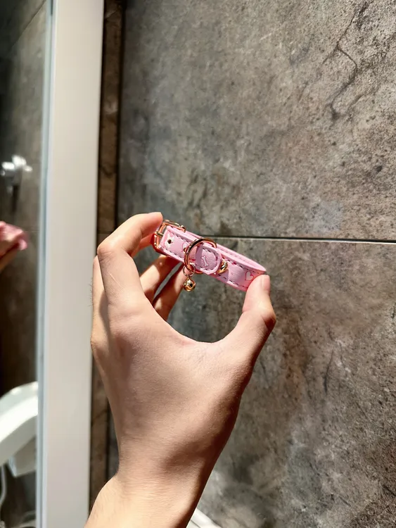 合金手链 PuppyJoy「甜心爱神小狗」*独家版权设计*手环周边礼盒装！