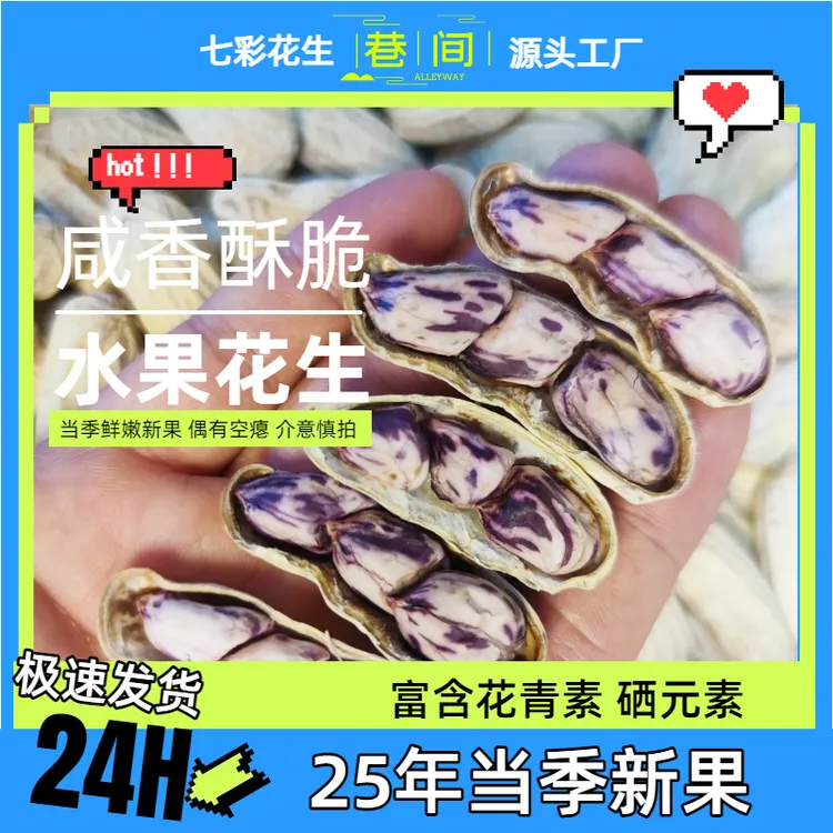 【水煮湿烤-熟的】龙岩湿烤七彩花生带壳熟新鲜特产咸干休闲零食品