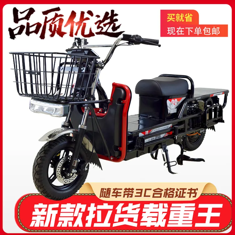 载重王电动车拉货外卖电瓶车长跑王72V60V两轮路霸大力神踏板电摩