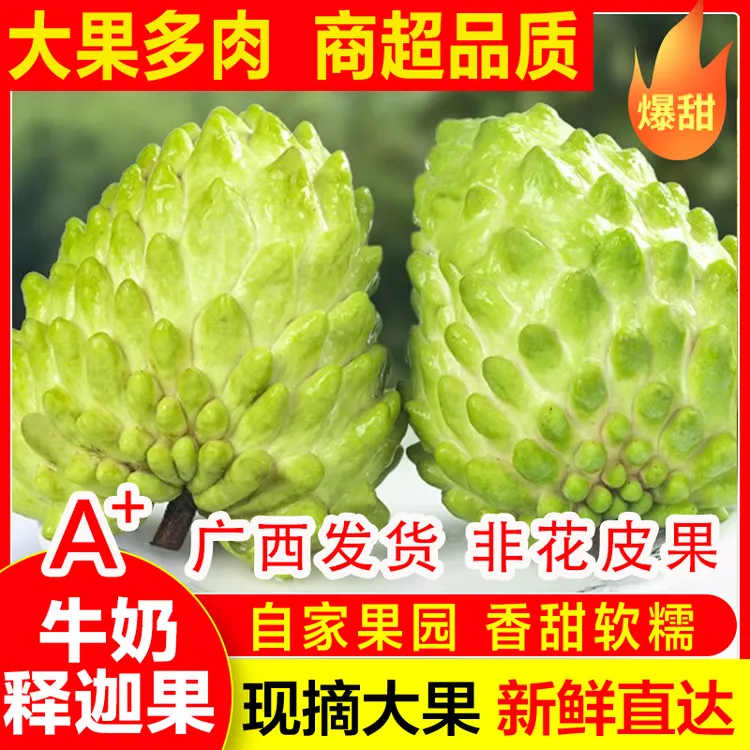 广西牛奶释迦果现摘新鲜凤梨释迦水果当季广东番荔枝佛头果摩尼果