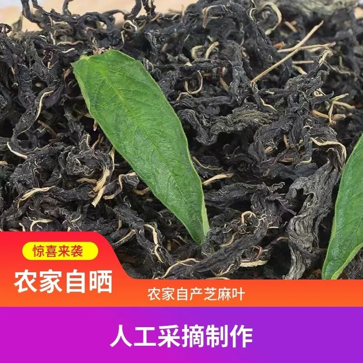 自然晒干精选干芝麻叶河南南阳农家特产自晒干芝麻叶