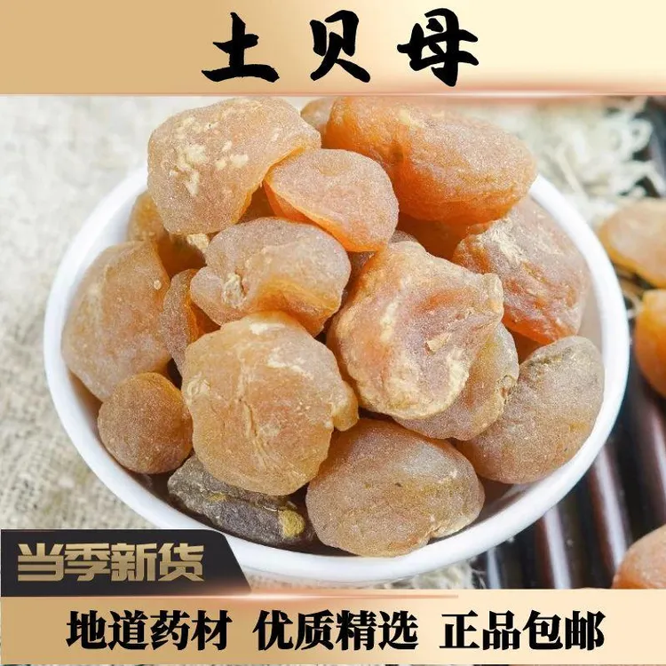 正宗土贝母中药材100g克土贝母深山无患子种植正品新货皂角米