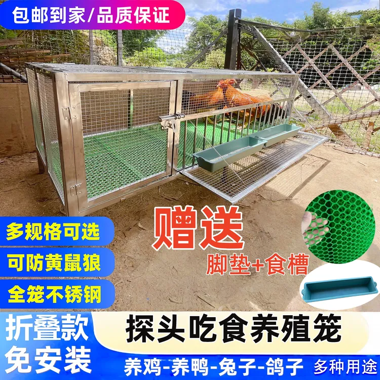不锈钢鸡笼室外家庭养殖用防黄鼠狼探头加厚加密大笼子鸡场用品