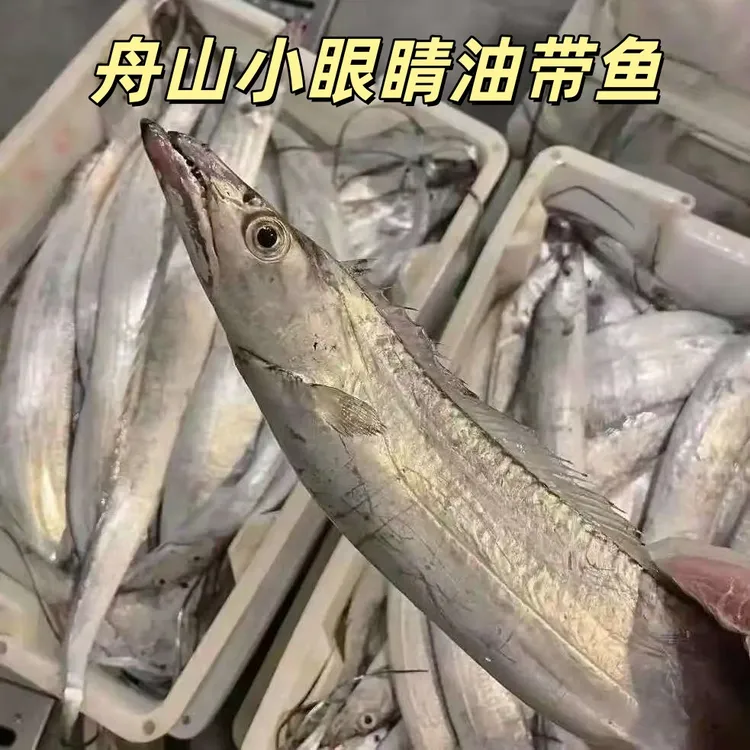 正宗舟山小眼睛带鱼 舟山发货 整条发货