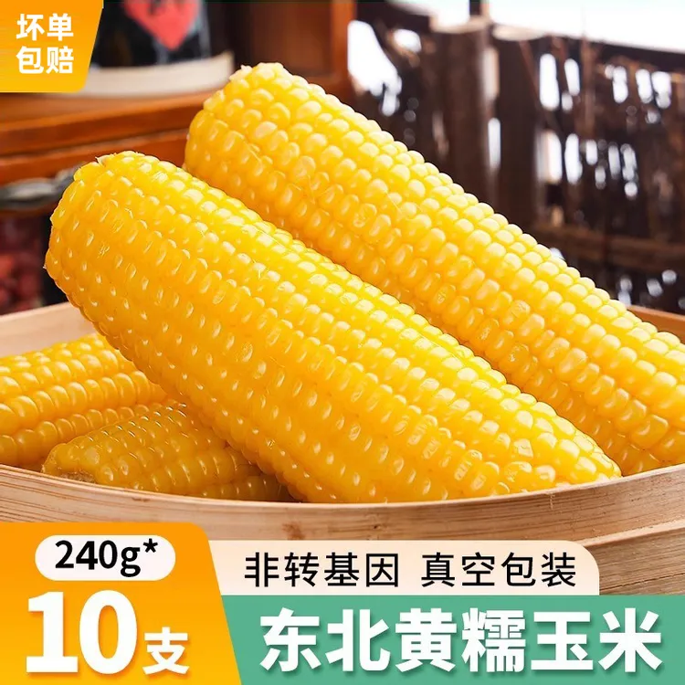 10支东北黄黏糯玉米棒24年新货真空包装黄苞米现摘新鲜