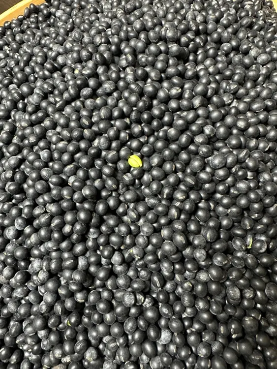 清姐同款青肉黑豆2斤装