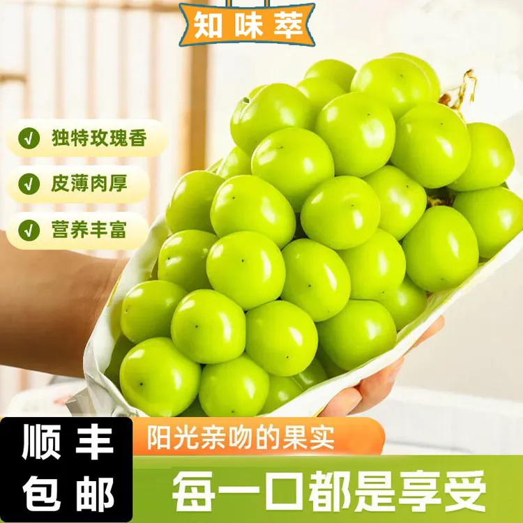 德昌阳光玫瑰葡萄 当季新品 香甜多汁 净重2.8-3.3斤 顺丰包邮