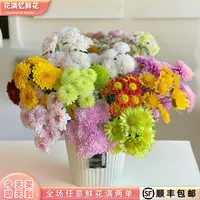 次日达 -【混搭小菊】5枝小雏菊鲜花鲜切花家居用花批发任意两单升级顺丰包邮三单送随机花瓶今天拍明天到aa