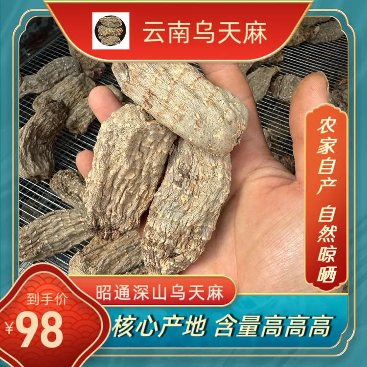 （老品种乌天麻）正宗云南乌天麻纯正干货可用于煲汤的山货