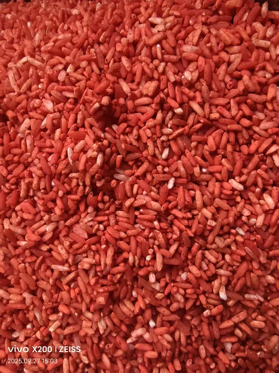 野钓通用酒米打窝料适合钓鲫鱼鲤鱼等多种鱼类