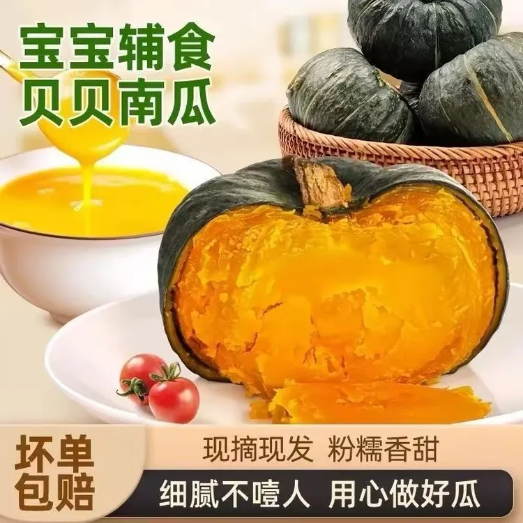 【新疆直发】真贝贝南瓜