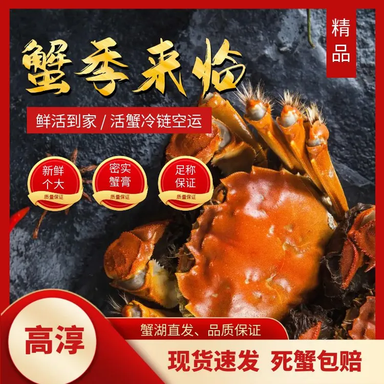 【优质推荐产品】（次日达）去绳净重河蟹2两母8只顺丰包邮蟹农直发