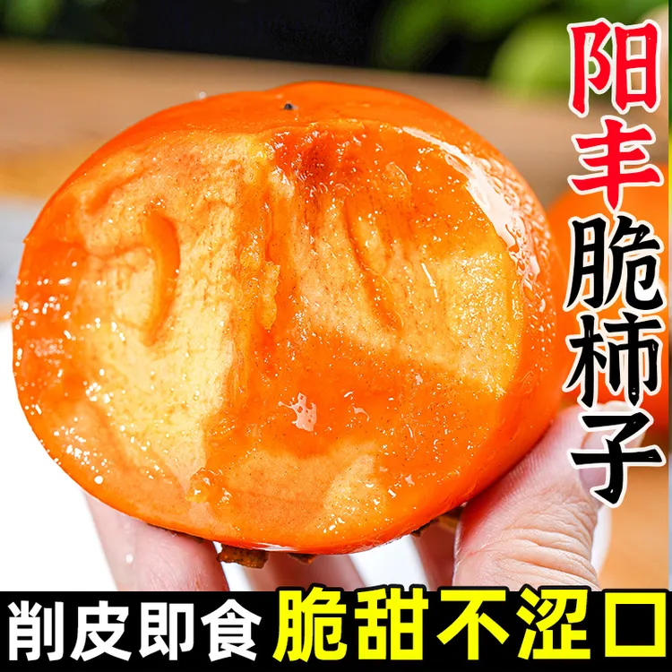 【果园直发】陕西阳丰柿子巧克力冰糖心脆柿子新鲜采摘水果2-4.5斤