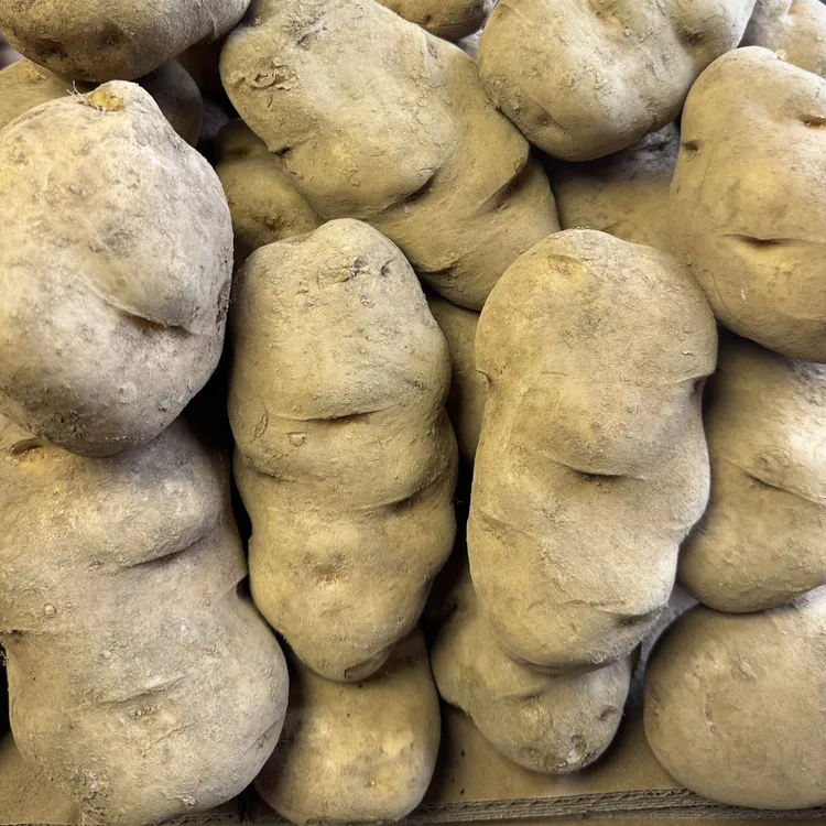 阿雨买正宗贵州威宁老品种米拉洋芋高原黄心土豆新鲜蔬菜农家当季