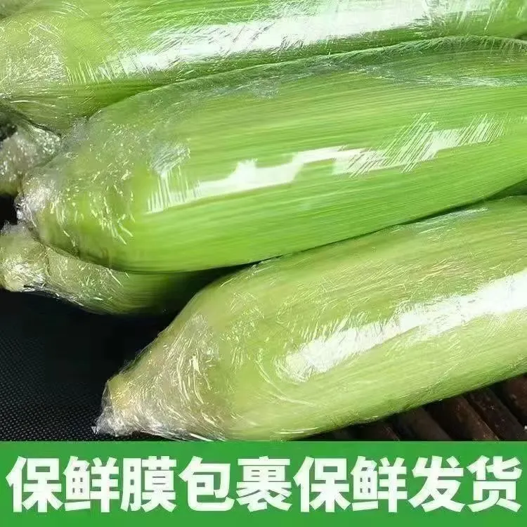 潮汕本地当季新鲜现摘老种11号加甜非转基因糯玉米带壳甜香糯包邮