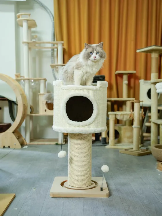 贝悠米全新上架家用小户型树洞猫窝一体多层双层跳台剑麻桶猫爬架