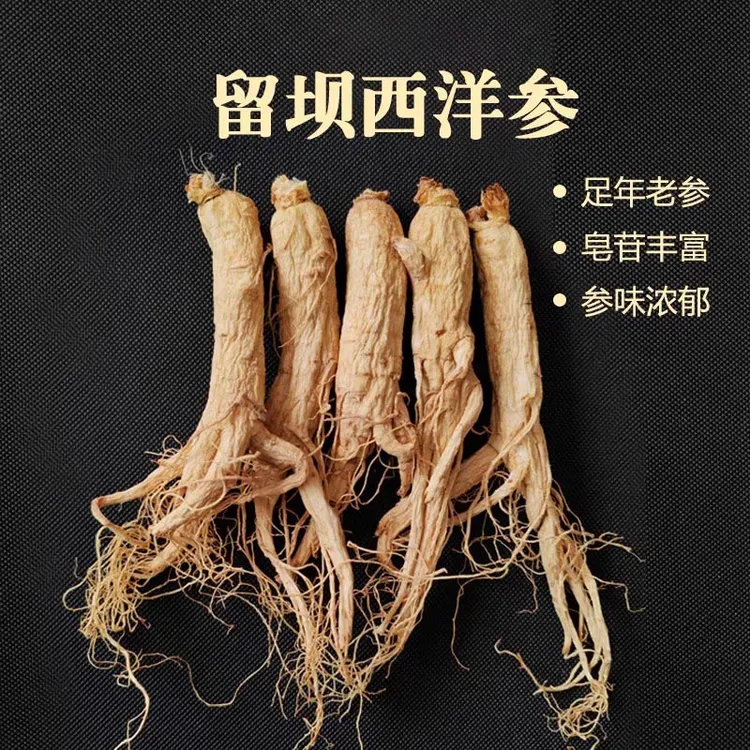 无秦岭大山西洋盘