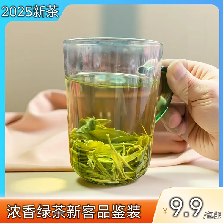 2025江西狗牯脑春茶新鲜原生态品质口粮茶源头采摘口味浓香冲泡