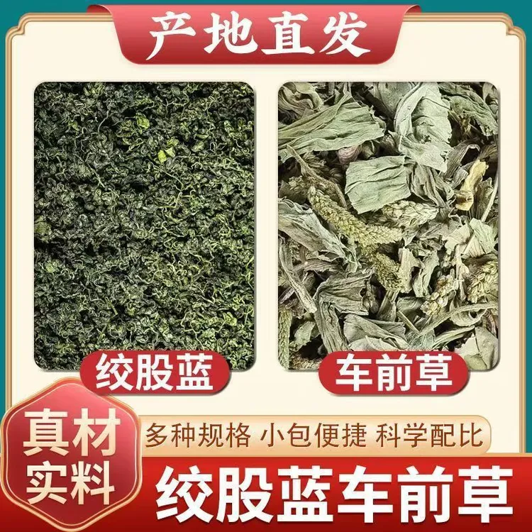 绞股蓝车前草组合茶包独立包装车前草绞股蓝专用泡茶喝泡水三角包